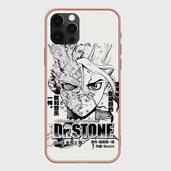Чехол iPhone 12 Pro Max Dr Stone Senkuu