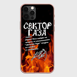 Чехол iPhone 12 Pro Max СЕКТОР ГАЗА FIRE