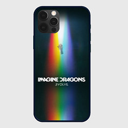Чехол для iPhone 12 Pro Max Imagine Dragons: Evolve, цвет: 3D-черный