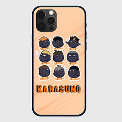 Чехол для iPhone 12 Pro Max Вороны школы Карасуно Haikyu!!, цвет: 3D-черный