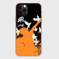 Чехол iPhone 12 Pro Max Волейбол - Вороны