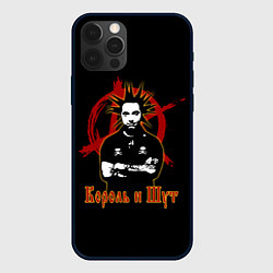 Чехол для iPhone 12 Pro Max Король и Шут анархия, цвет: 3D-черный