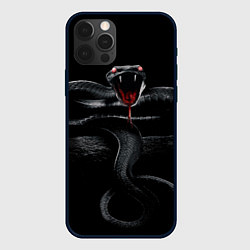 Чехол для iPhone 12 Pro Max ЗМЕЯ НА КАМНЕ НА ЧЕРНОМ ФОНЕ, цвет: 3D-черный