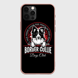 Чехол iPhone 12 Pro Max Бордер-Колли Border Collie