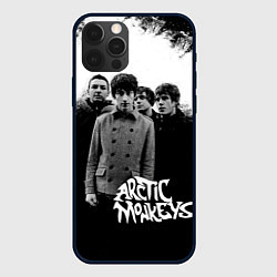 Чехол iPhone 12 Pro Max Группа Arctic monkeys