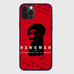 Чехол для iPhone 12 Pro Max HAWKMAN BERSERK, цвет: 3D-черный