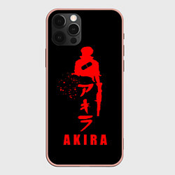 Чехол iPhone 12 Pro Max Shoutarou Kaneda - Akira