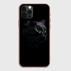 Чехол iPhone 12 Pro Max Черна кошка с изумрудными глазами