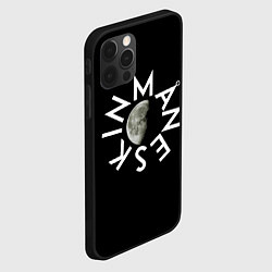 Чехол для iPhone 12 Pro Max Манескин и луна, цвет: 3D-черный — фото 2