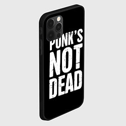 Чехол для iPhone 12 Pro Max PUNKS NOT DEAD Панки Живы, цвет: 3D-черный — фото 2