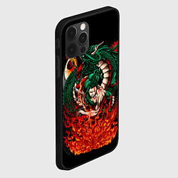 Чехол для iPhone 12 Pro Max Зоро Ророноа Самурай One piece Ван пис, цвет: 3D-черный — фото 2