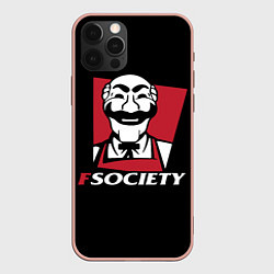 Чехол iPhone 12 Pro Max FSOCIETY HACKING