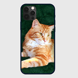 Чехол для iPhone 12 Pro Max Мейн кун рыжий кот, цвет: 3D-черный