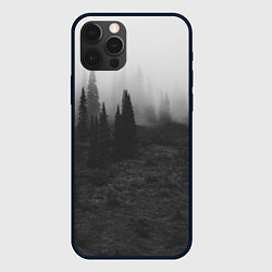 Чехол iPhone 12 Pro Max Туманный лес - туман