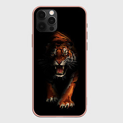 Чехол iPhone 12 Pro Max Тигр на черном фоне