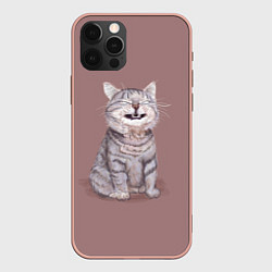 Чехол для iPhone 12 Pro Max Недовольный котик Disgruntled cat, цвет: 3D-светло-розовый