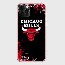 Чехол iPhone 12 Pro Max Чикаго Буллз Chicago Bulls Огонь