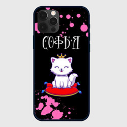 Чехол для iPhone 12 Pro Max Софья - КОШКА - Брызги, цвет: 3D-черный