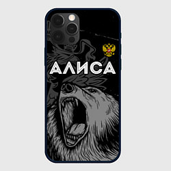 Чехол для iPhone 12 Pro Max Алиса Россия Медведь, цвет: 3D-черный