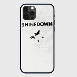 Чехол для iPhone 12 Pro Max The Sound of Madness - Shinedown, цвет: 3D-черный