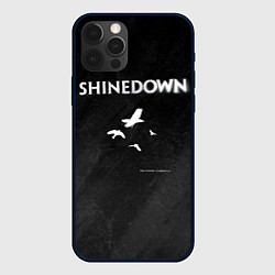 Чехол iPhone 12 Pro Max The Sound of Madness Shinedown