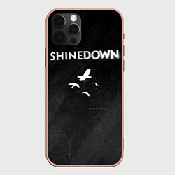 Чехол iPhone 12 Pro Max The Sound of Madness Shinedown