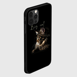 Чехол для iPhone 12 Pro Max Big cat Maine Coon, цвет: 3D-черный — фото 2