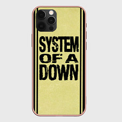 Чехол для iPhone 12 Pro Max System of a Down: 5 Album Bundle, цвет: 3D-светло-розовый