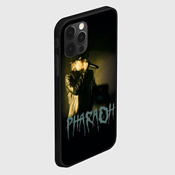 Чехол для iPhone 12 Pro Max PHARAOHHH, цвет: 3D-черный — фото 2