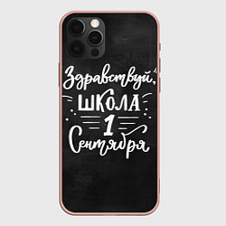 Чехол iPhone 12 Pro Max Здравствуй школа