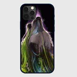 Чехол для iPhone 12 Pro Max Волчица - друид, цвет: 3D-черный