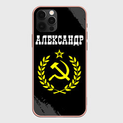 Чехол для iPhone 12 Pro Max Александр и желтый символ СССР со звездой, цвет: 3D-светло-розовый