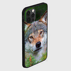 Чехол для iPhone 12 Pro Max Волк на фоне зелени, цвет: 3D-черный — фото 2