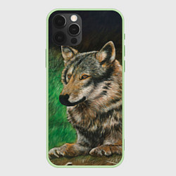 Чехол iPhone 12 Pro Max Спокойный серый волк