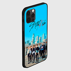 Чехол для iPhone 12 Pro Max Stray Kids Double Knot, цвет: 3D-черный — фото 2