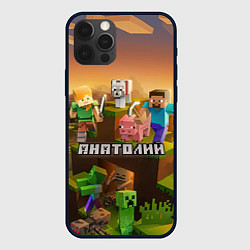 Чехол для iPhone 12 Pro Max Анатолий Minecraft, цвет: 3D-черный