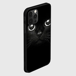 Чехол для iPhone 12 Pro Max Взгляд чёрного кота, цвет: 3D-черный — фото 2