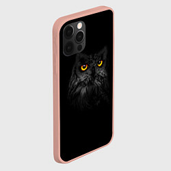 Чехол для iPhone 12 Pro Max Сова ночью, цвет: 3D-светло-розовый — фото 2