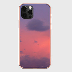 Чехол iPhone 12 Pro Max Розовая туча