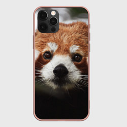 Чехол для iPhone 12 Pro Max Малая панда, цвет: 3D-светло-розовый