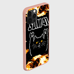 Чехол для iPhone 12 Pro Max Sum41 рок кот и огонь, цвет: 3D-светло-розовый — фото 2