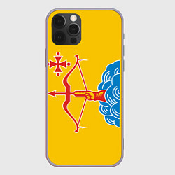 Чехол для iPhone 12 Pro Max Кировская область - герб, цвет: 3D-серый