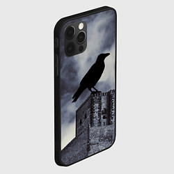 Чехол для iPhone 12 Pro Max Halloween - силуэт ворона, цвет: 3D-черный — фото 2