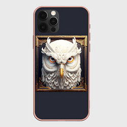 Чехол iPhone 12 Pro Max Белая сова - барельеф в раме