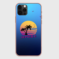 Чехол iPhone 12 Pro Max Jamaica