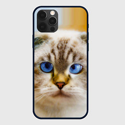 Чехол для iPhone 12 Pro Max Кошка породы шотландская вислоухая косоглазая, цвет: 3D-черный