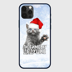 Чехол для iPhone 12 Pro Max Любимому дедушке - котик, цвет: 3D-черный