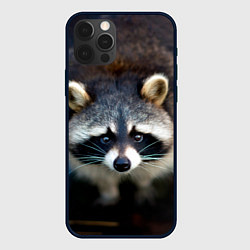 Чехол iPhone 12 Pro Max Застенчивый енот