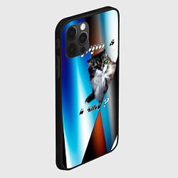 Чехол для iPhone 12 Pro Max Ну, здесь я и что - кот, цвет: 3D-черный — фото 2