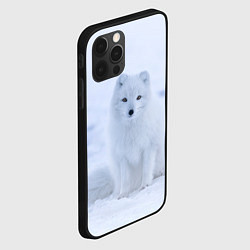 Чехол для iPhone 12 Pro Max Белоснежный Песец, цвет: 3D-черный — фото 2